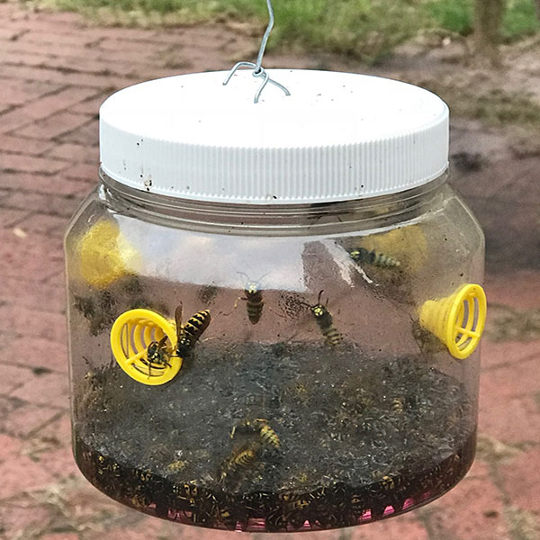 VESPEX European Wasp Lure Wasp On Bottle